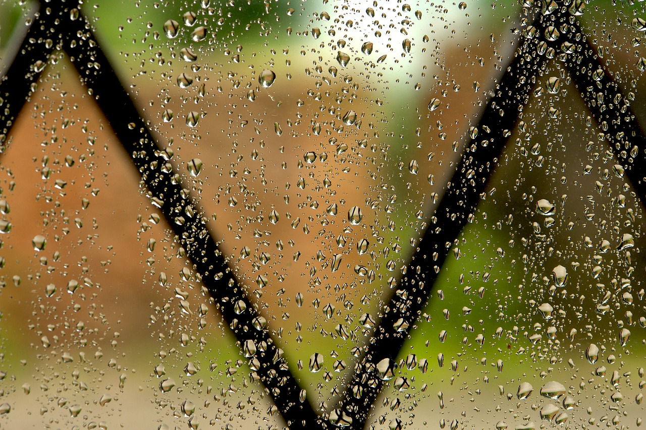 rain window grateful free photo