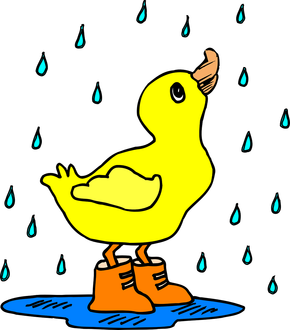 rain duck puddle free photo