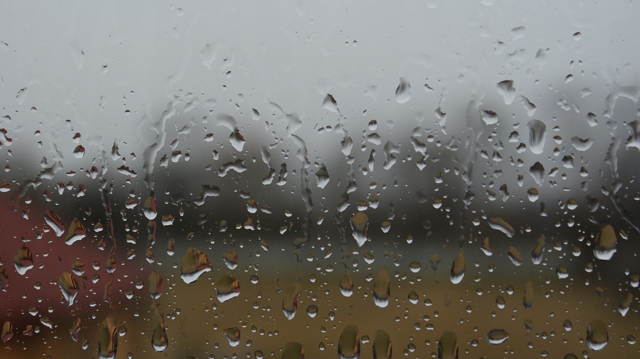 rain pane window free photo