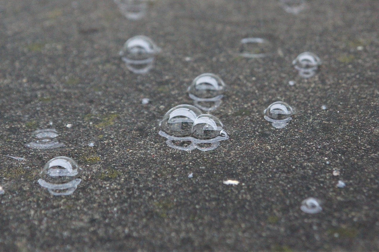 rain  water  bubble free photo