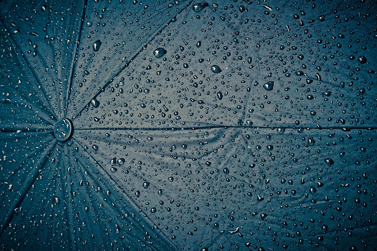 rain  screen  umbrella free photo
