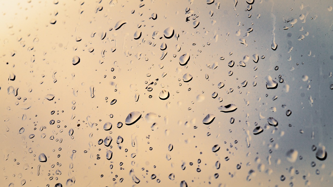 rain  window  raindrops free photo