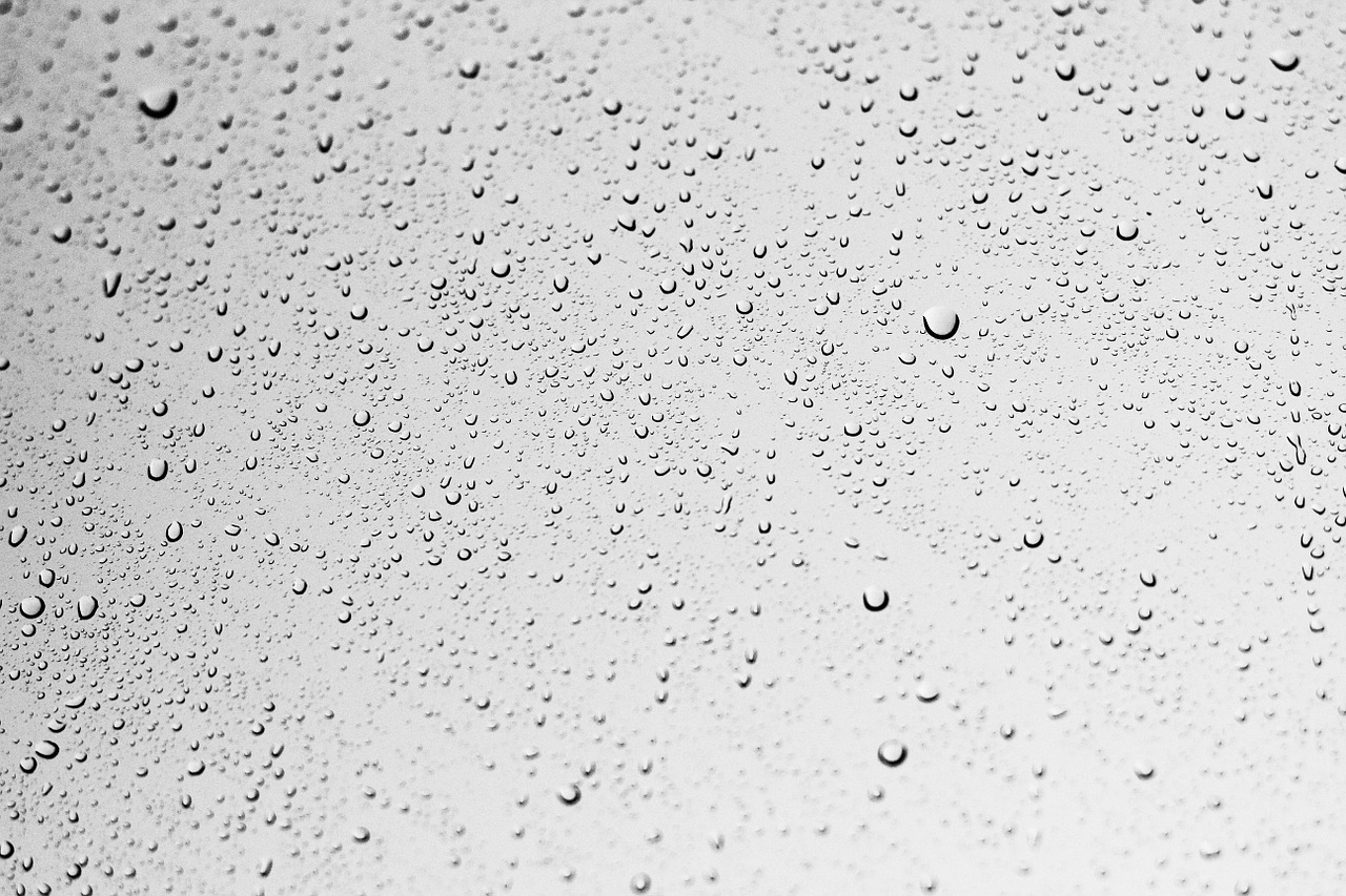 rain wet water free photo