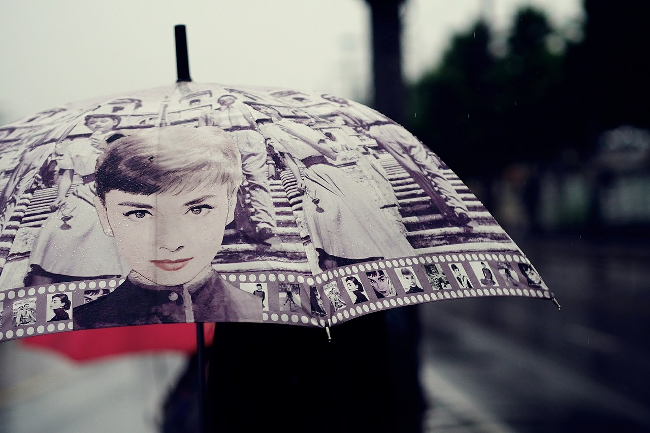 rain umbrella raindrop free photo