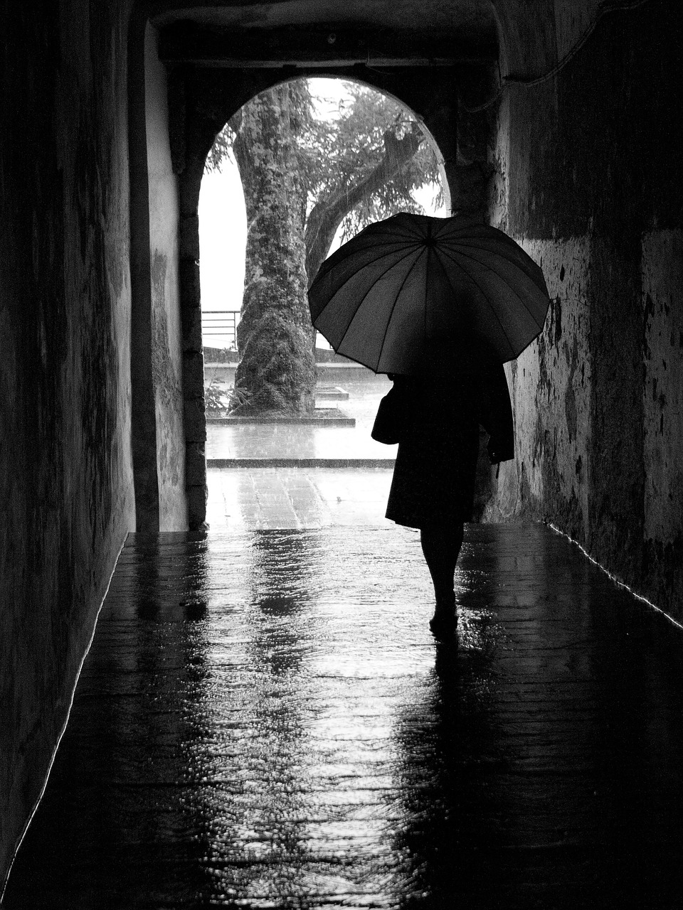 rain  umbrella  silhouette free photo