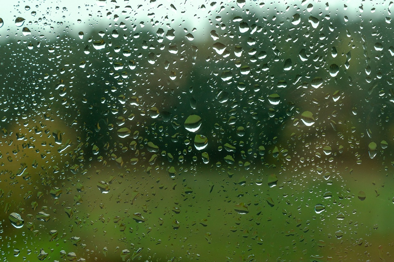 rain  window glass  raindrop free photo