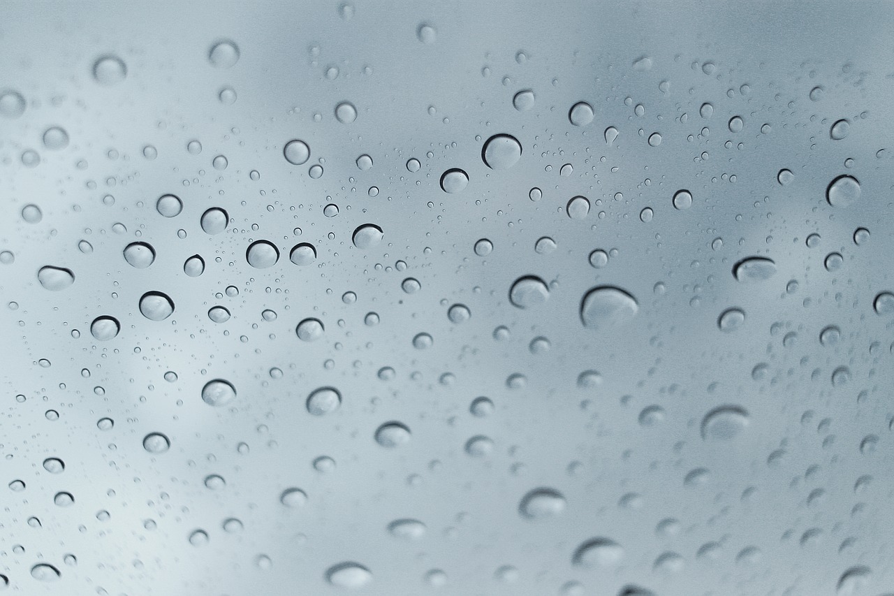 rain  water  droplets free photo