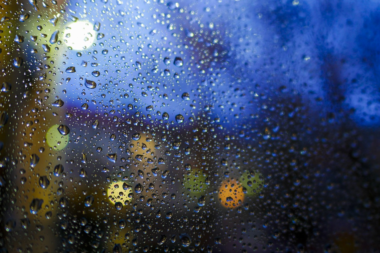rain  raindrop  night free photo