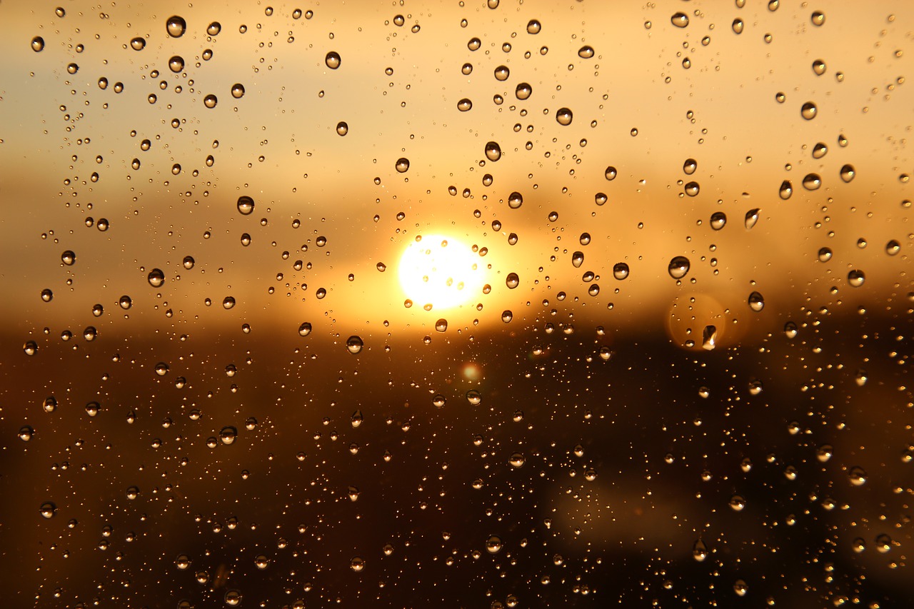 rain  sun  window free photo