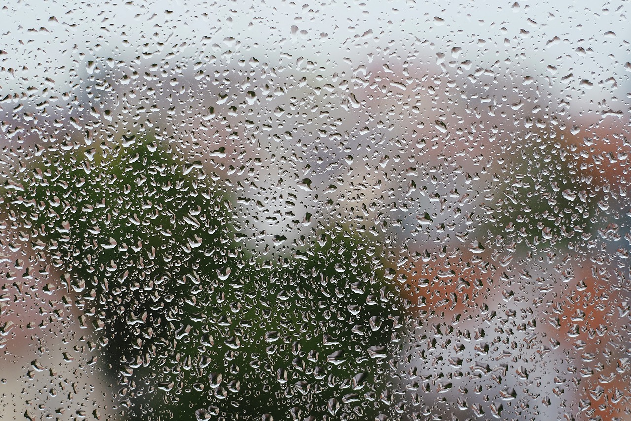 rain  moisture  window free photo