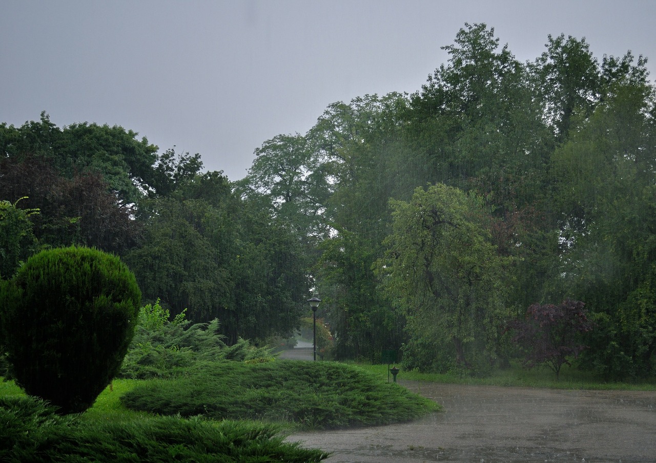 дождь в парке