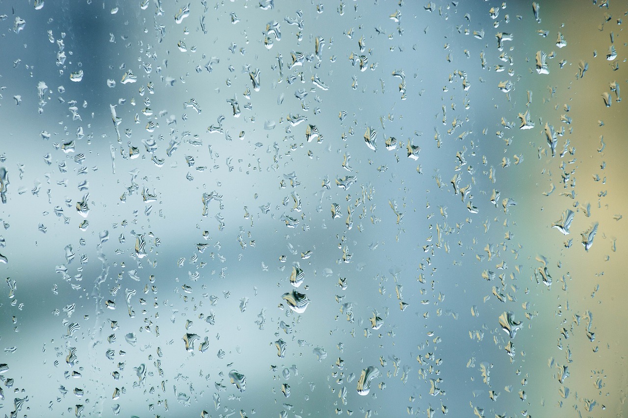 rain raindrop window free photo