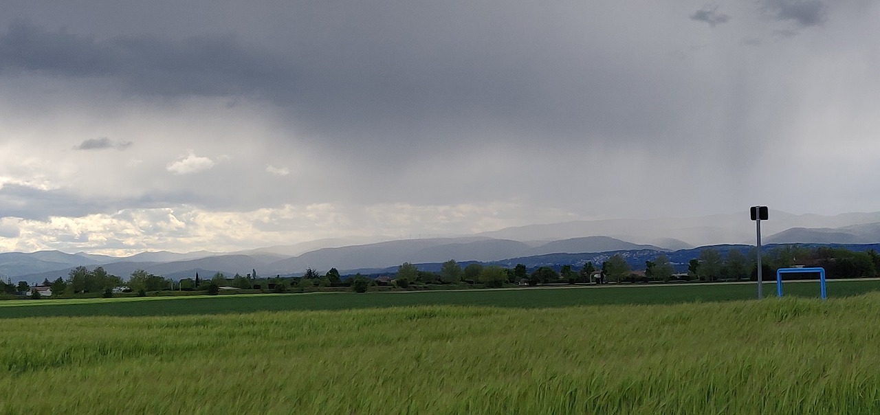 rain  field  green free photo