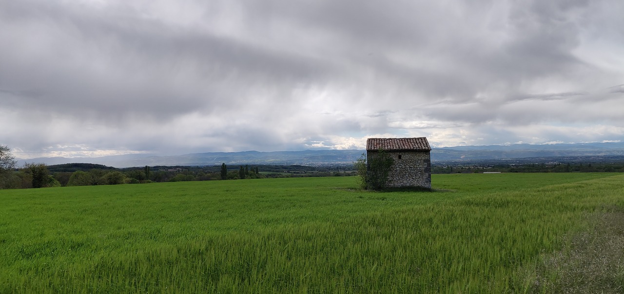 rain  field  green free photo