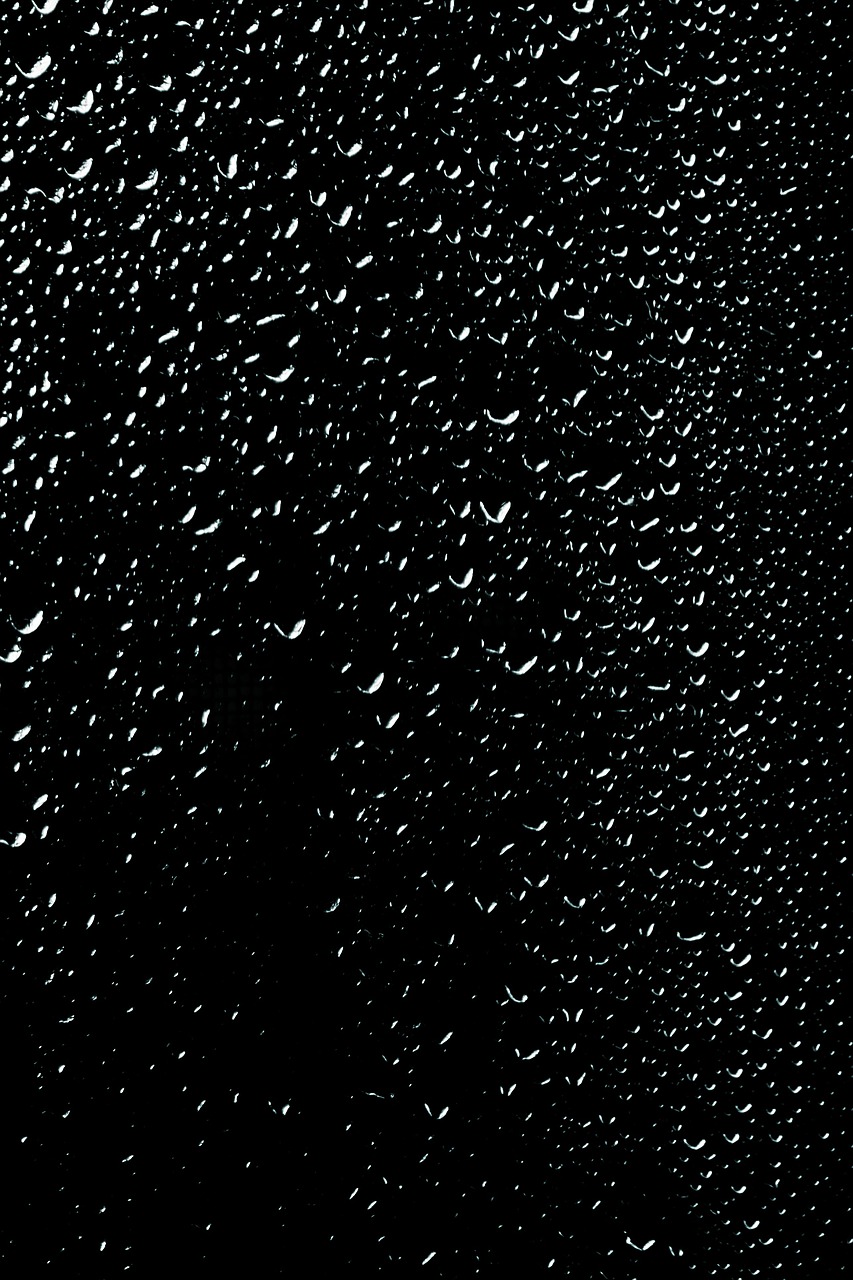 rain raindrop drop of water free photo