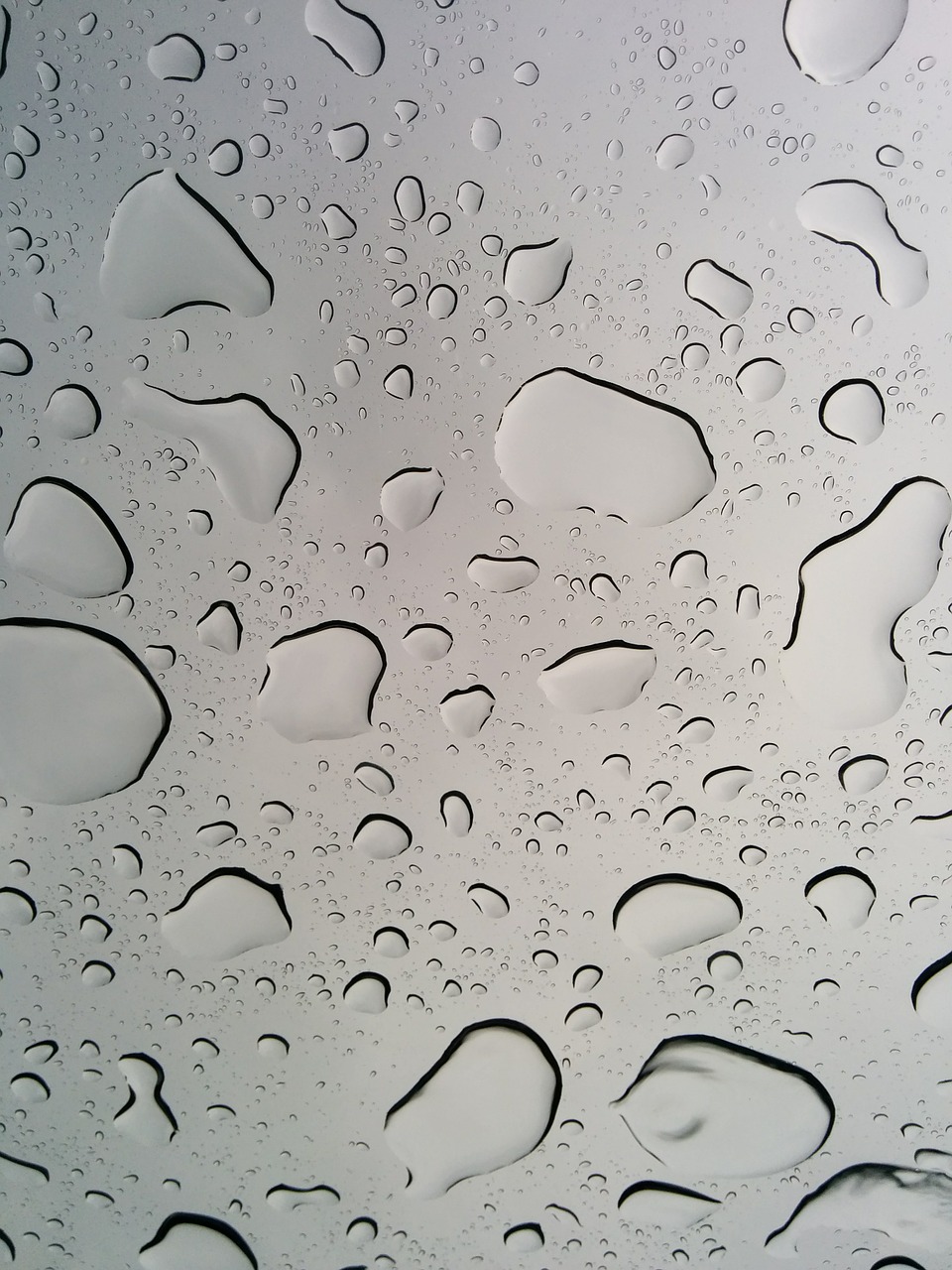 rain windshield background free photo