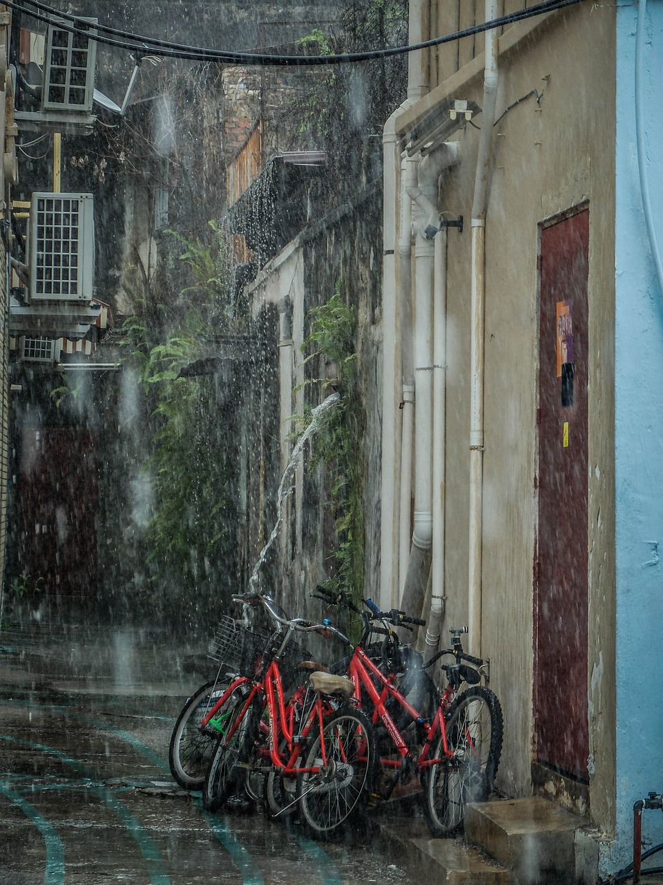 rain bicycle raining free photo