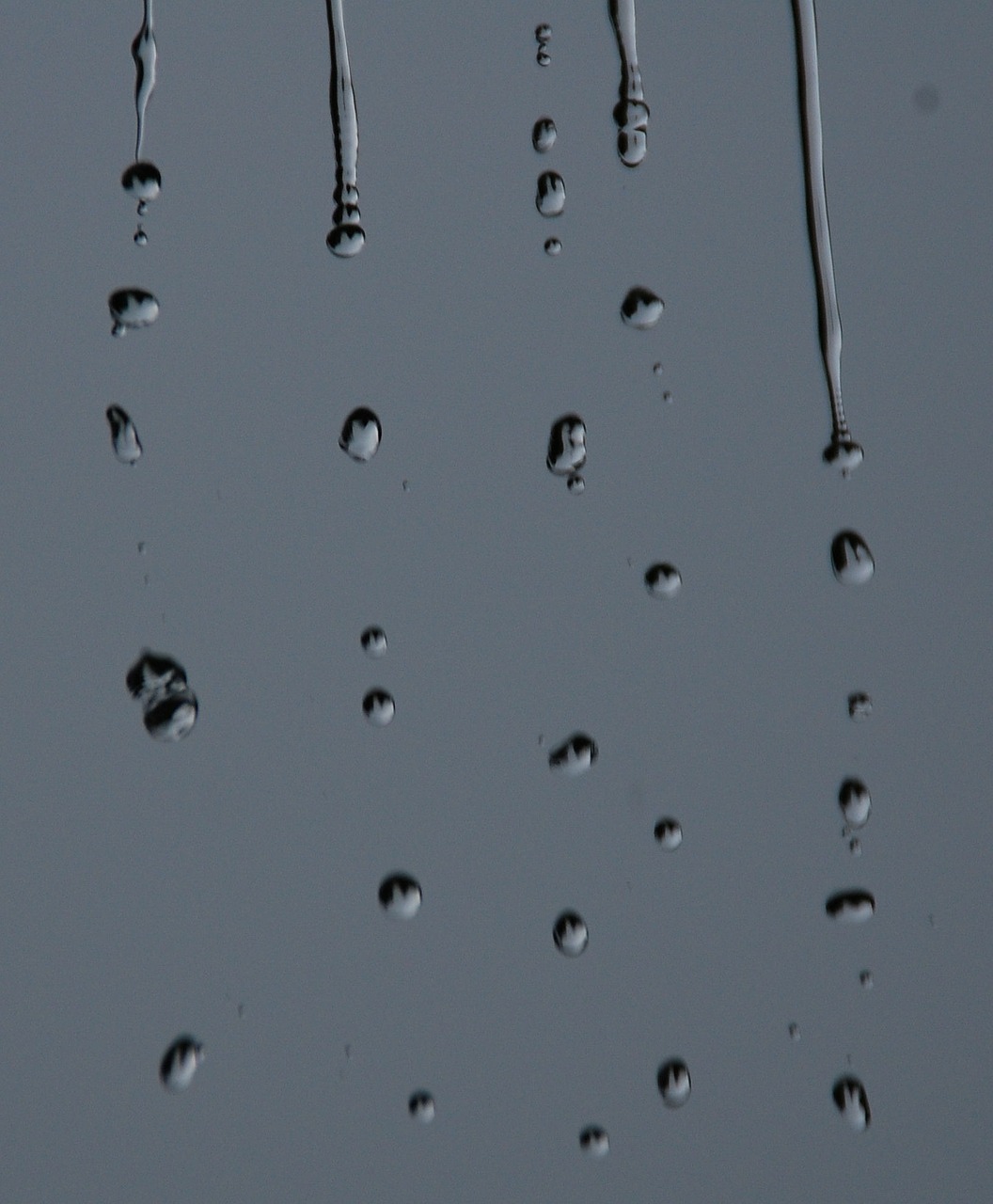 rain raindrops water free photo