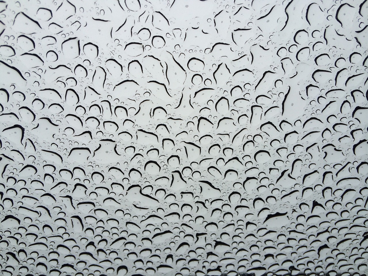 rain window raindrops free photo