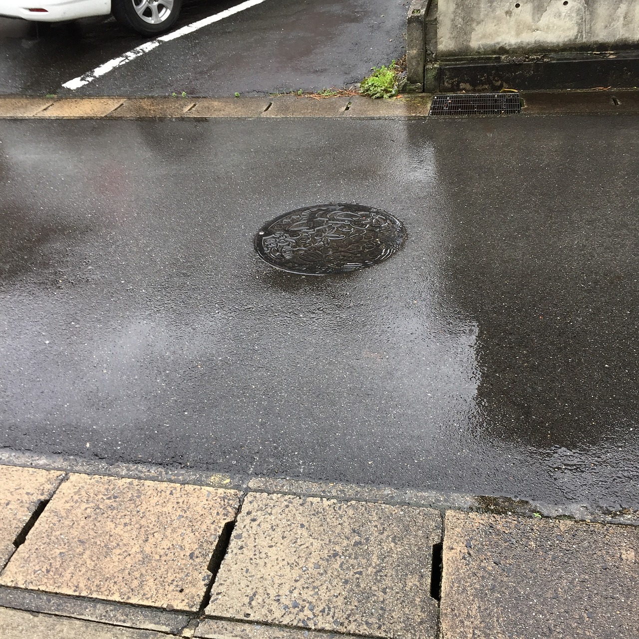 rain rainy the manhole free photo