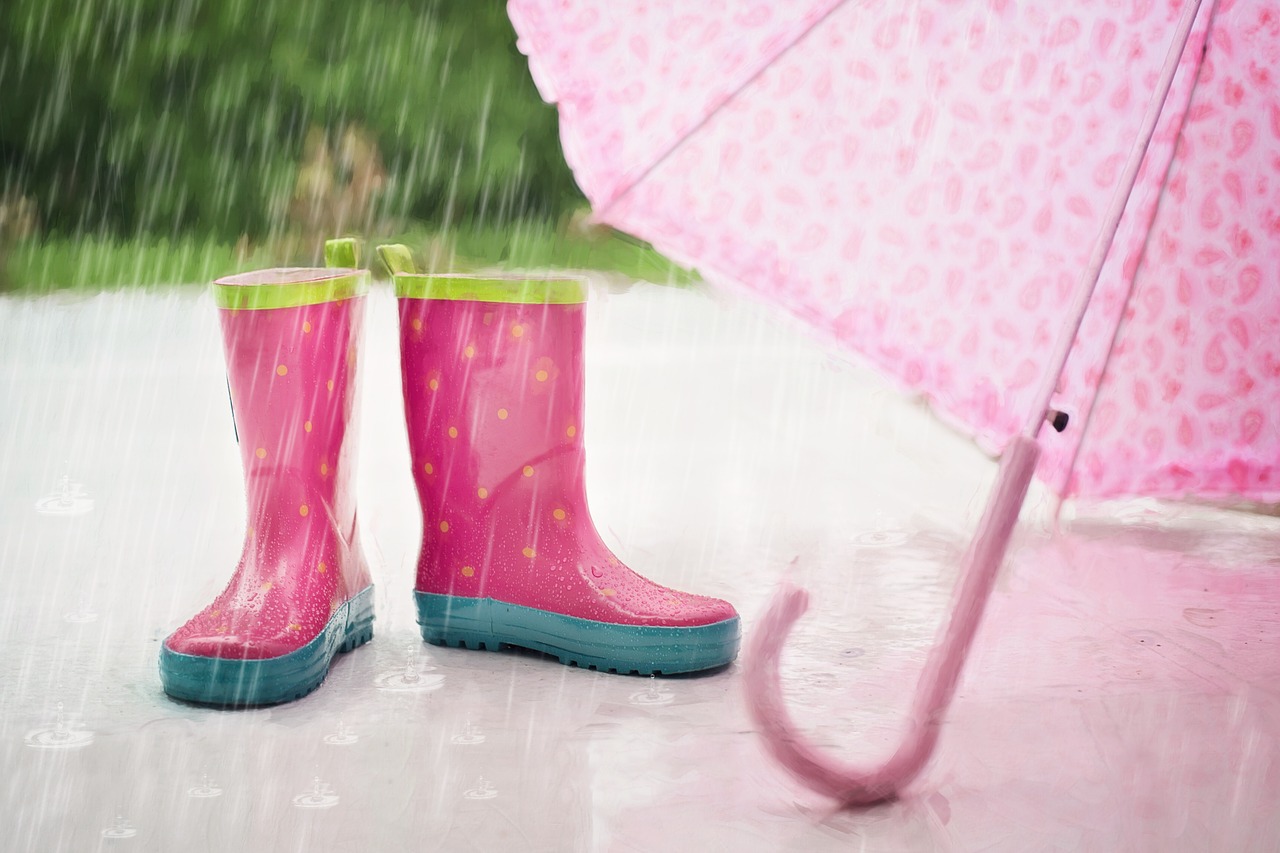 rain boots umbrella free photo