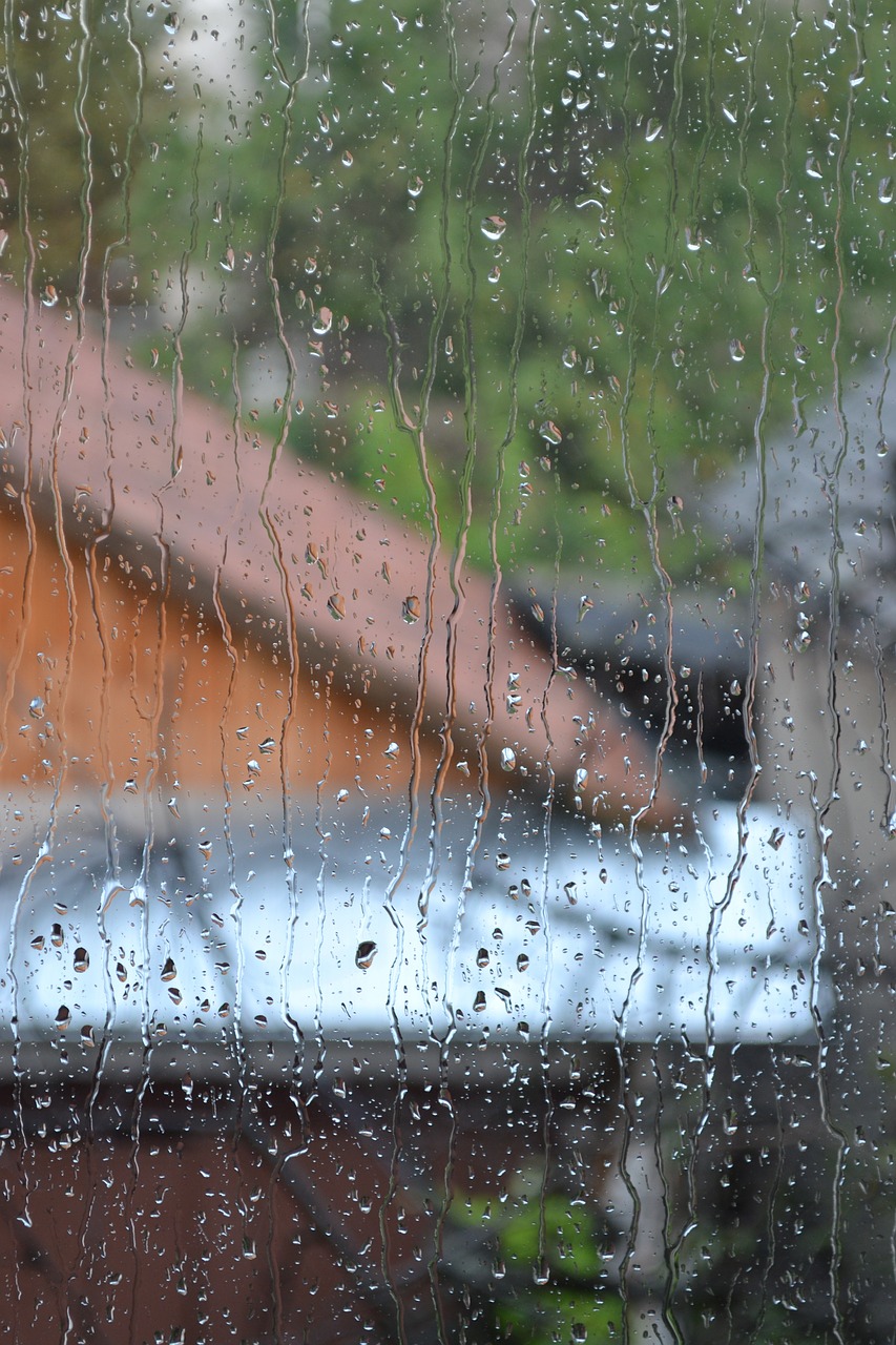 rain window wet free photo