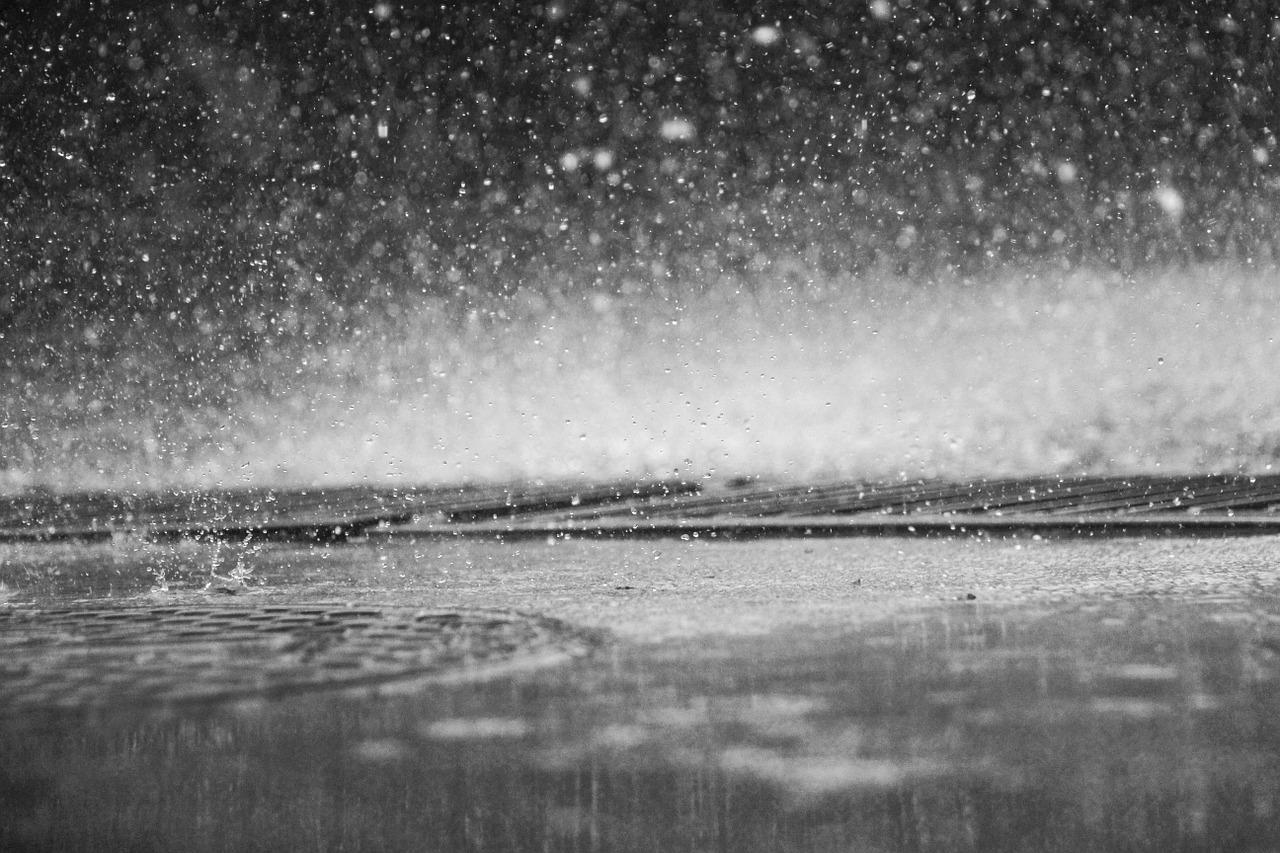 rain drops drip free photo