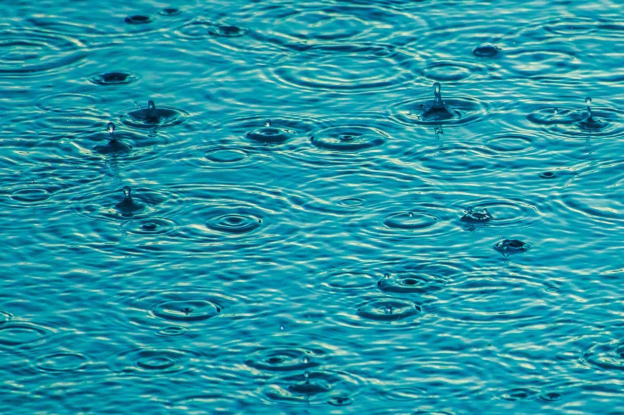 rain summer water free photo