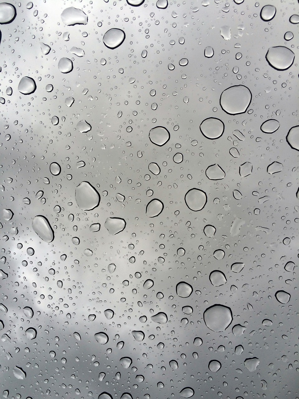 rain raindrops glass free photo