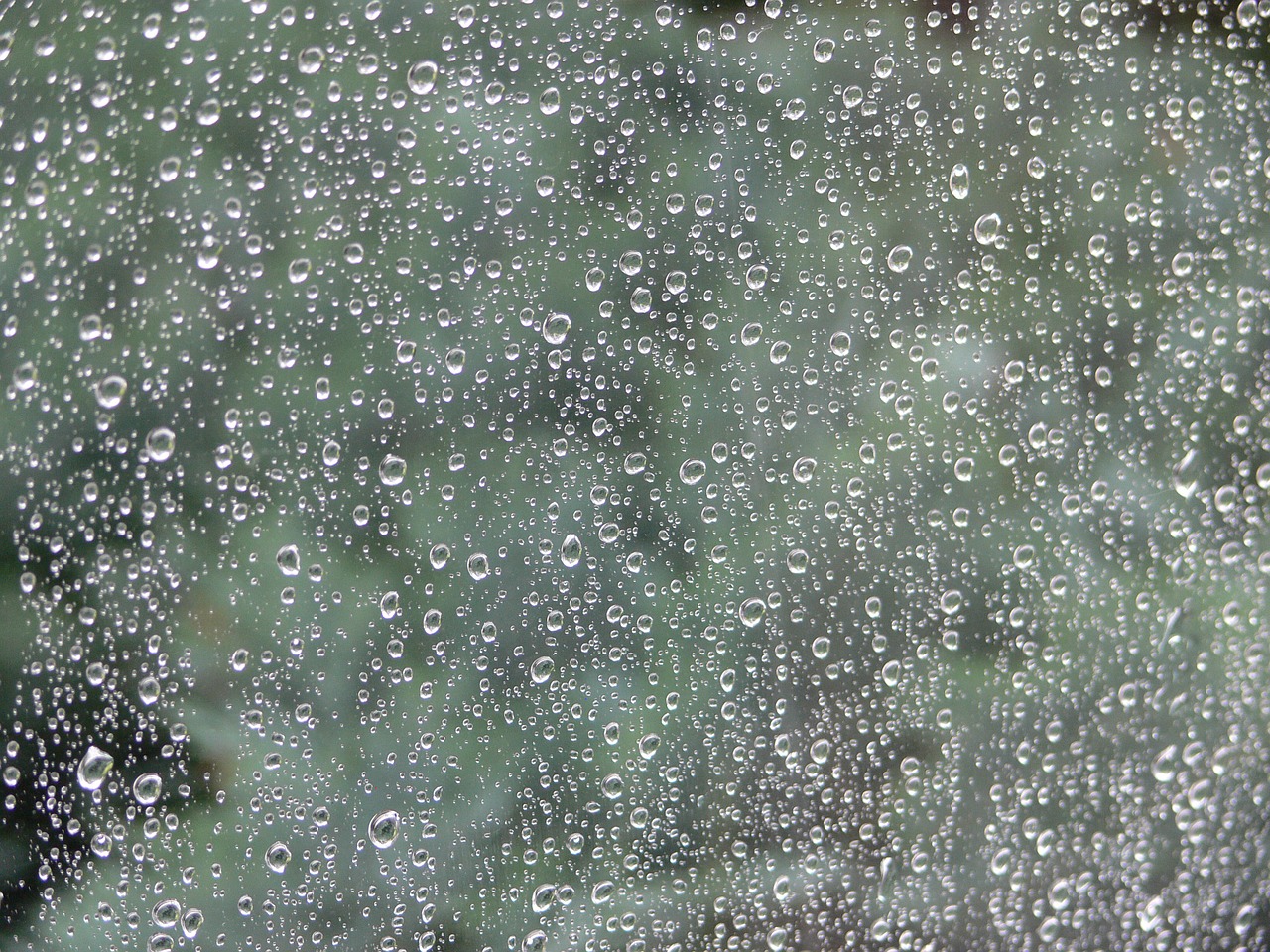 rain window raindrop free photo