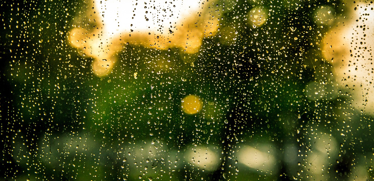 rain water drops free photo