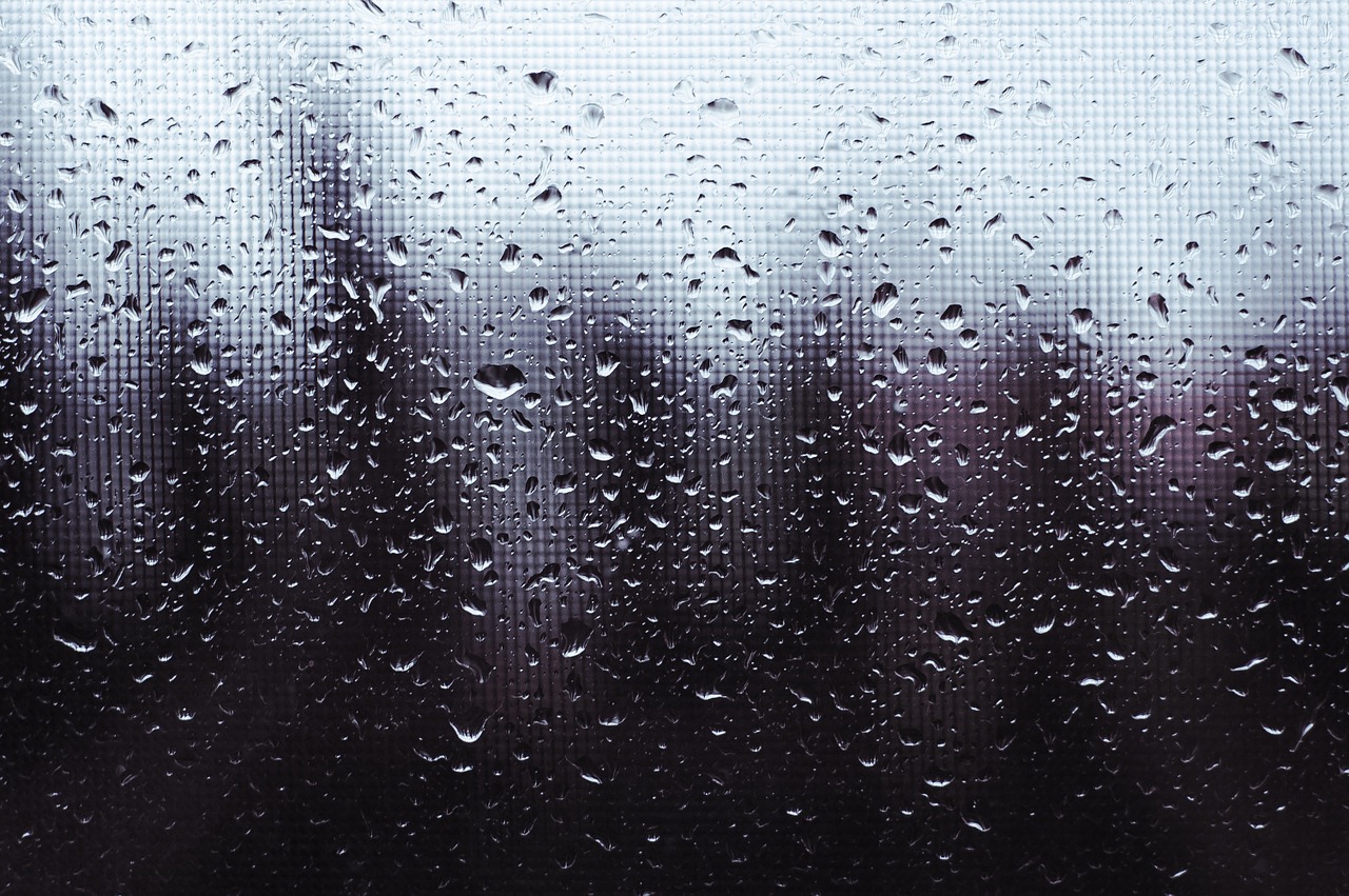 rain window wet free photo