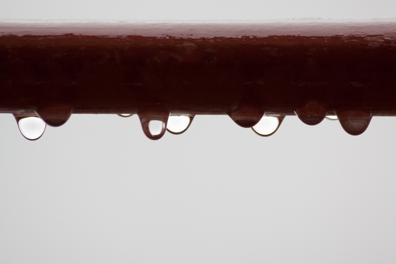 rain drip raindrop free photo