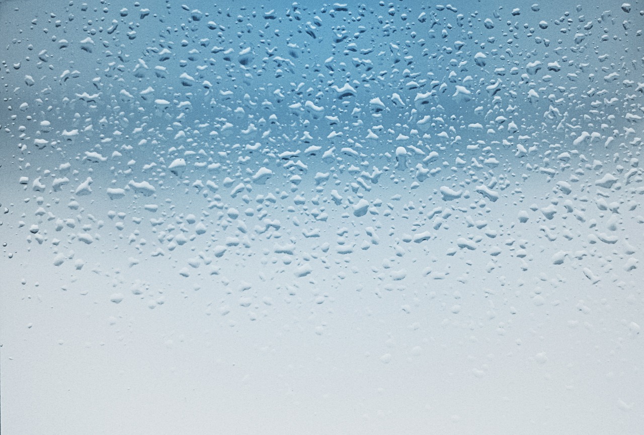 rain drip beaded free photo
