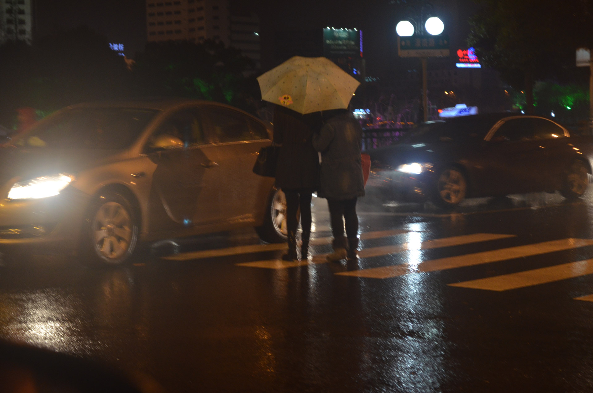 rain rainy night free photo