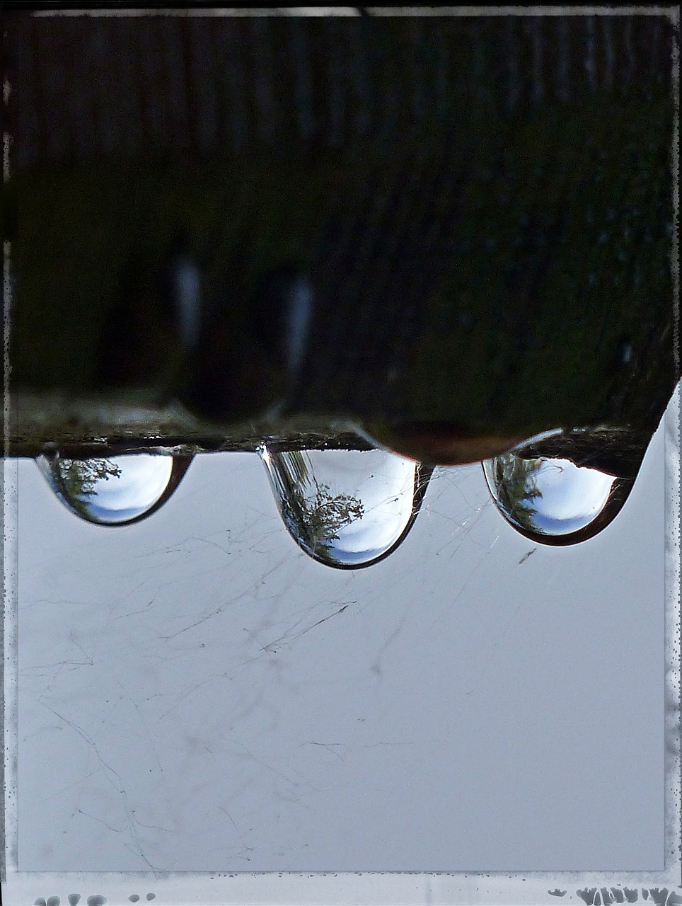 rain drops reflection macro free photo