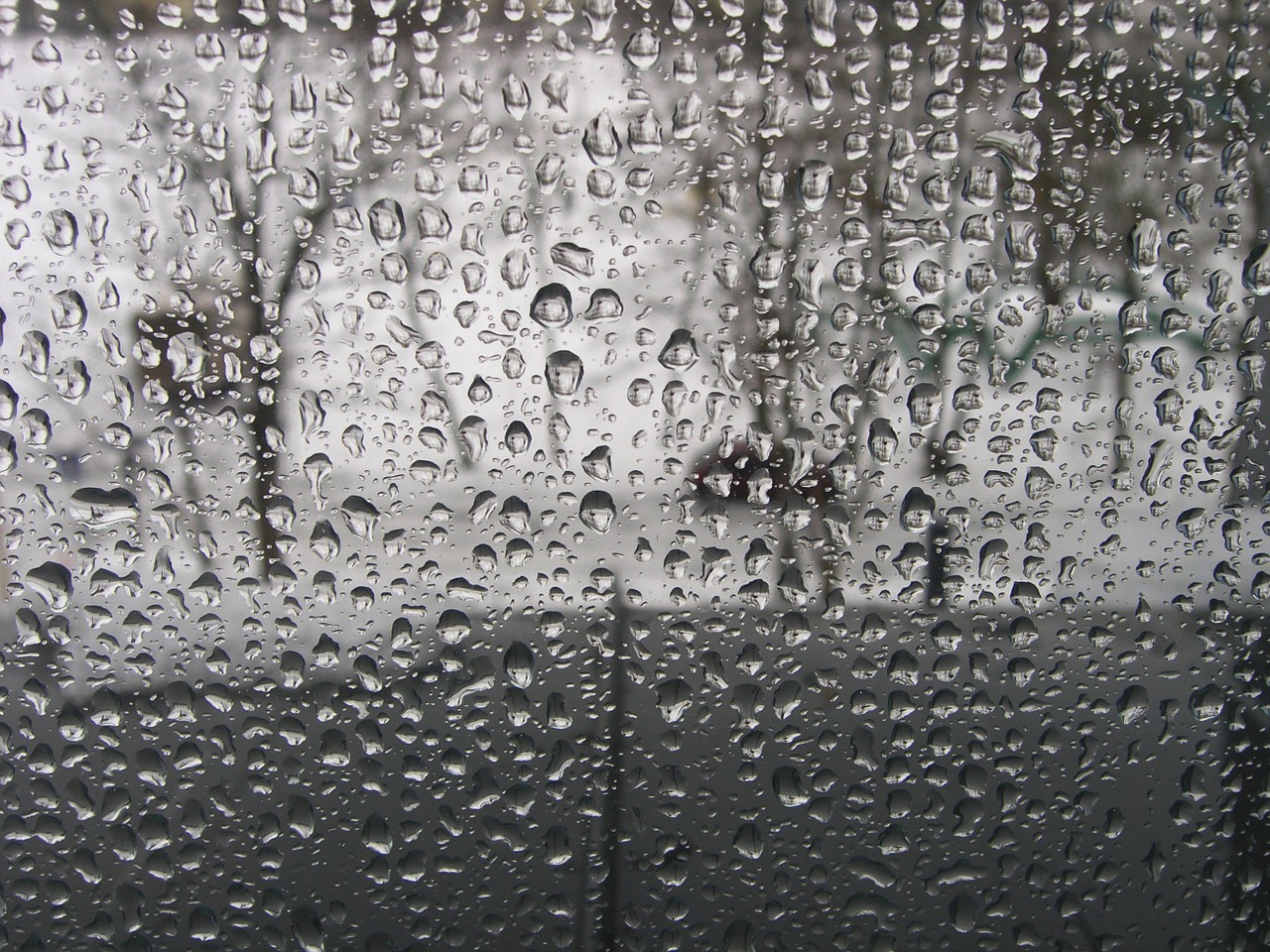 rain drops wet droplets free photo