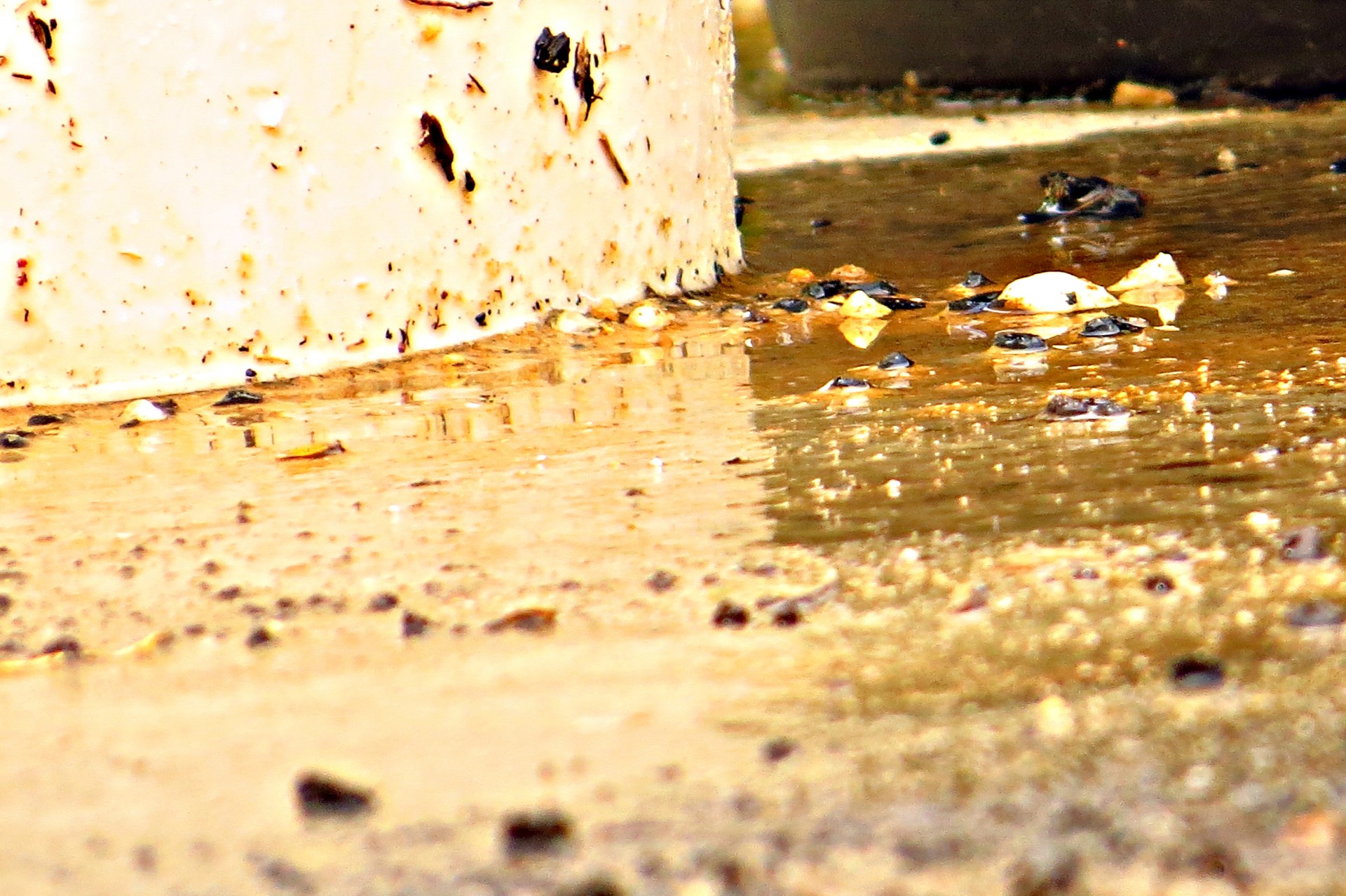 rain floor after free photo