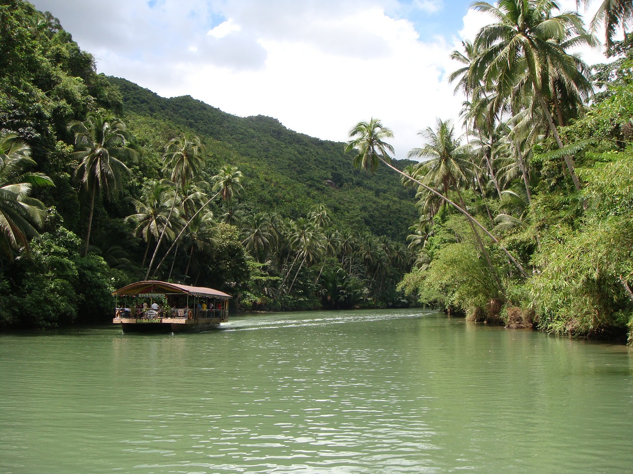 rain forest bohol philippines free photo