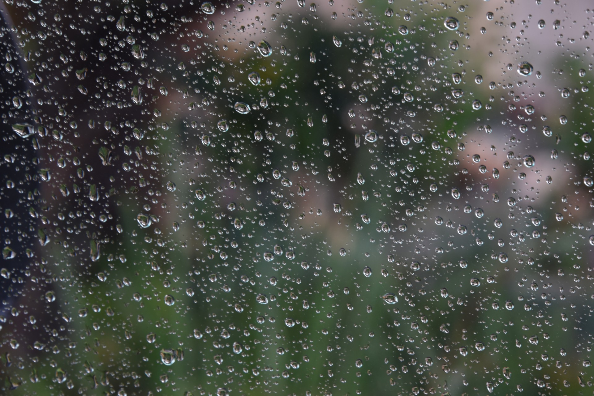 rain drops weather free photo