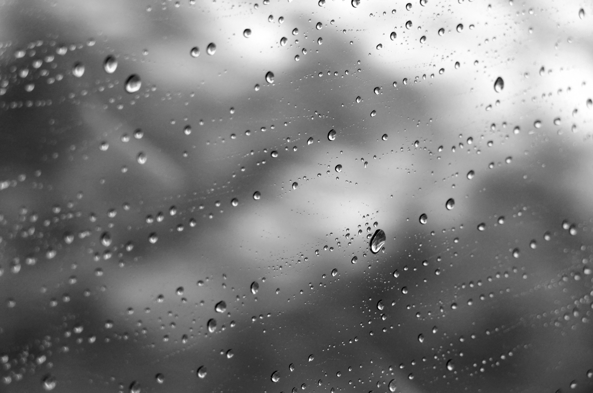 rain window drops free photo