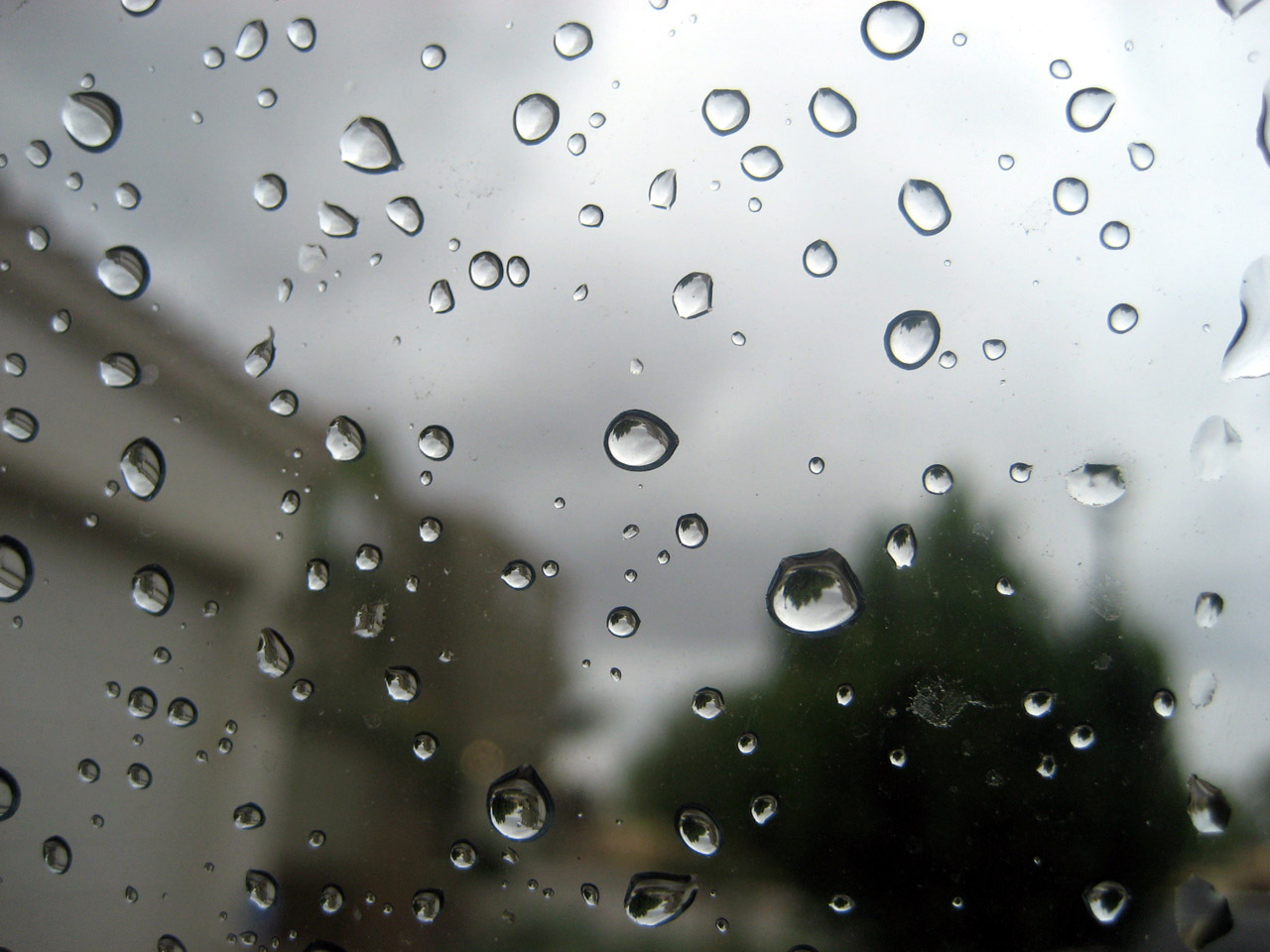 rain window glass free photo