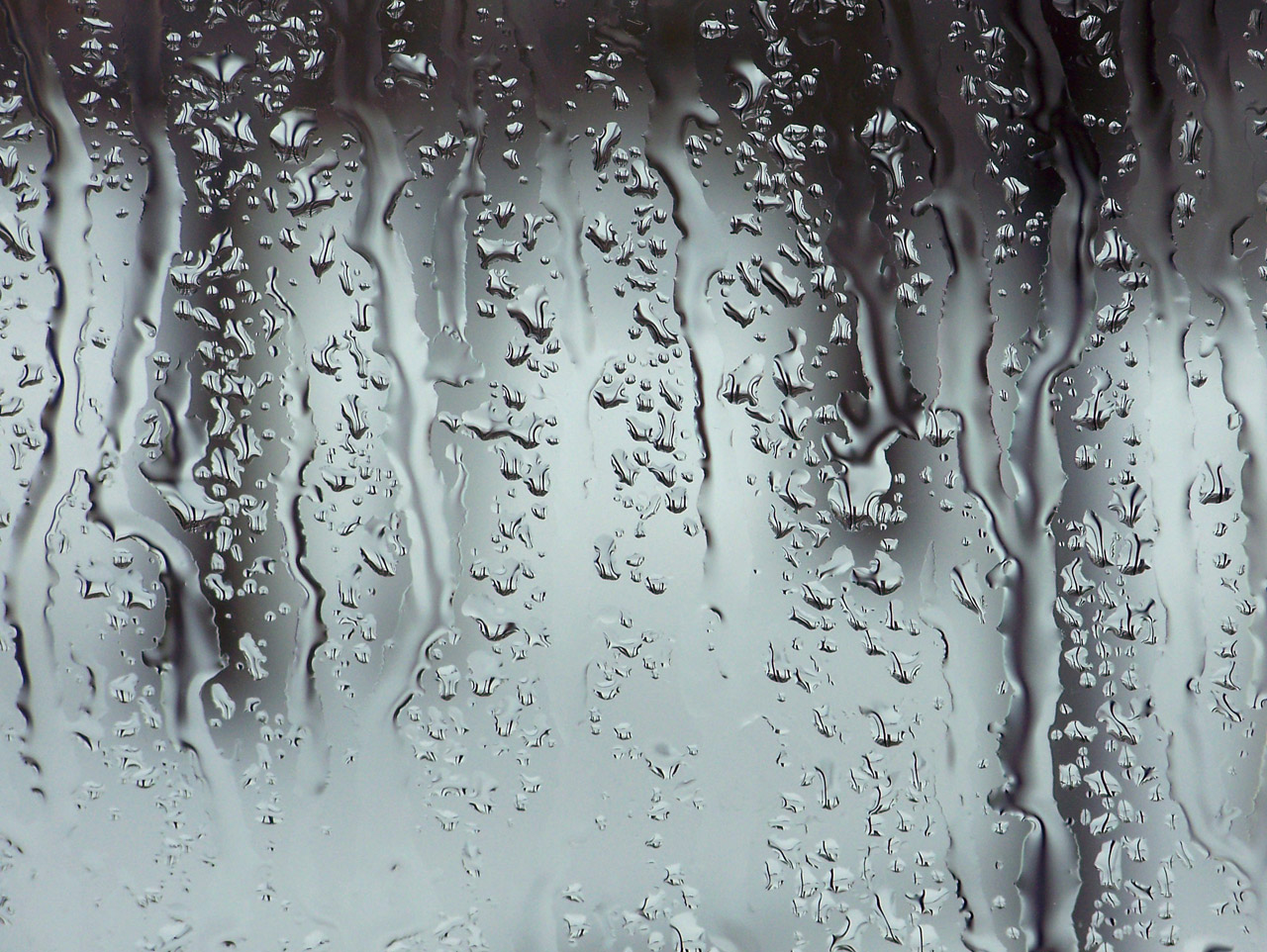 rain raindrops window free photo