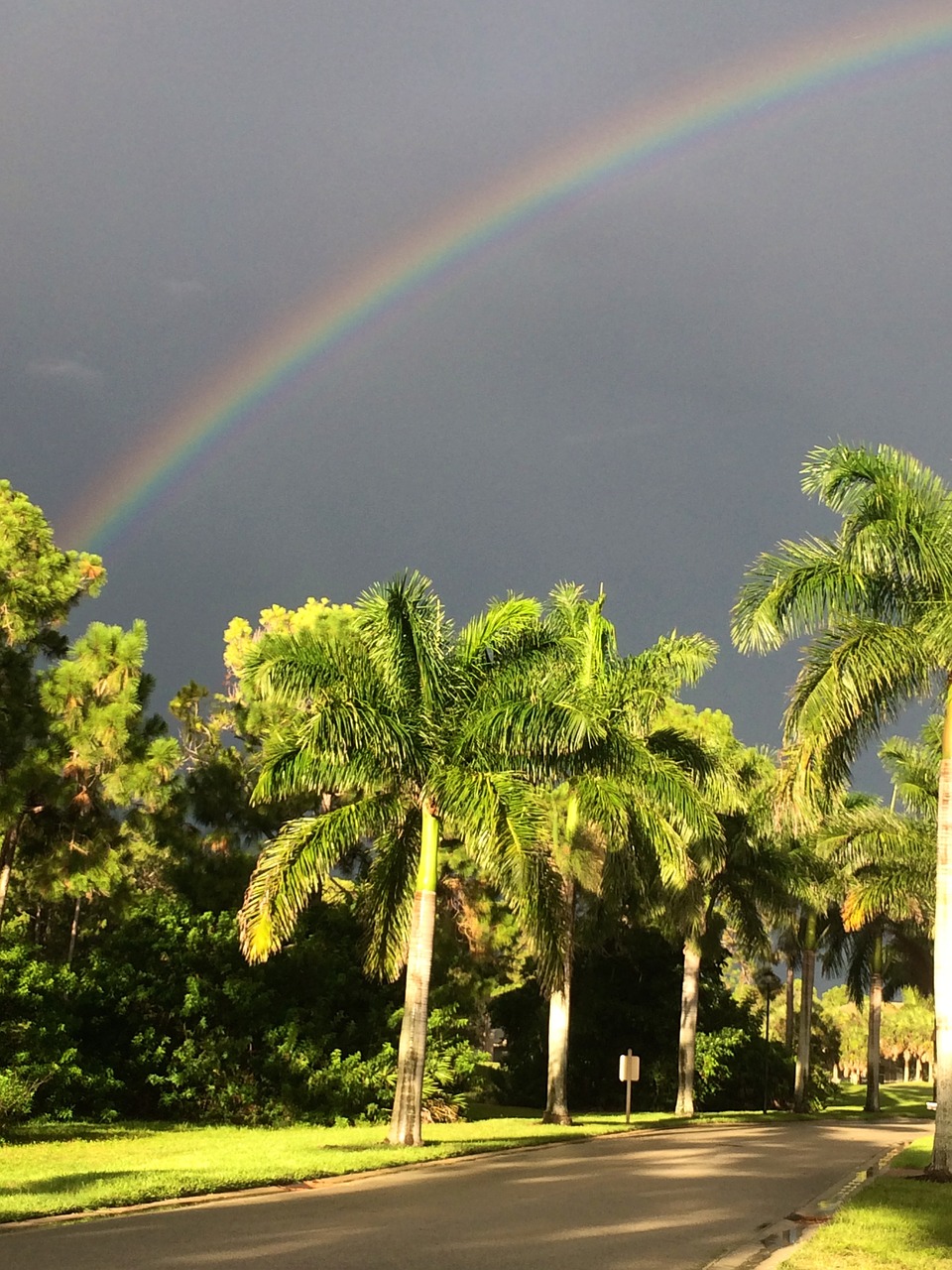 rainbow tropical storm tropical free photo