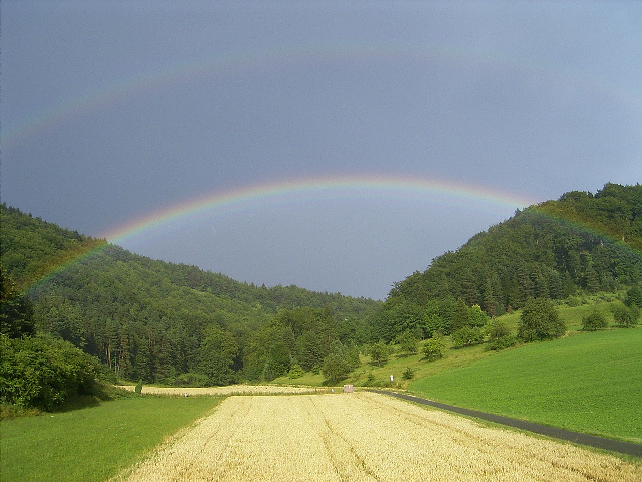 rainbow field forest free photo