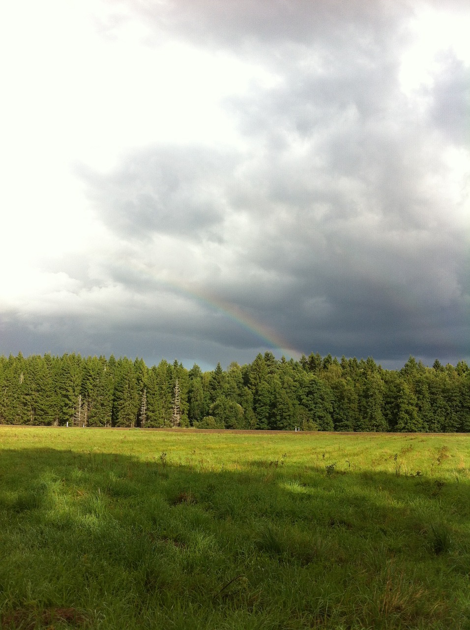 rainbow summer nature free photo