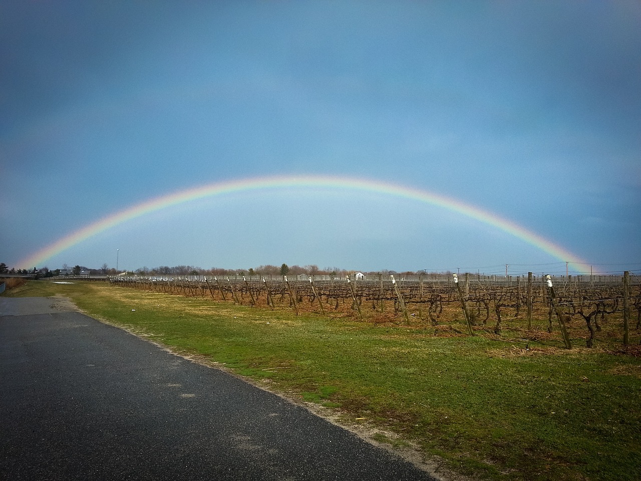 rainbow vineyard summer free photo