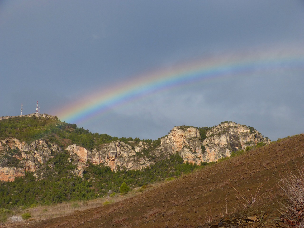 rainbow vineyard landscape free photo
