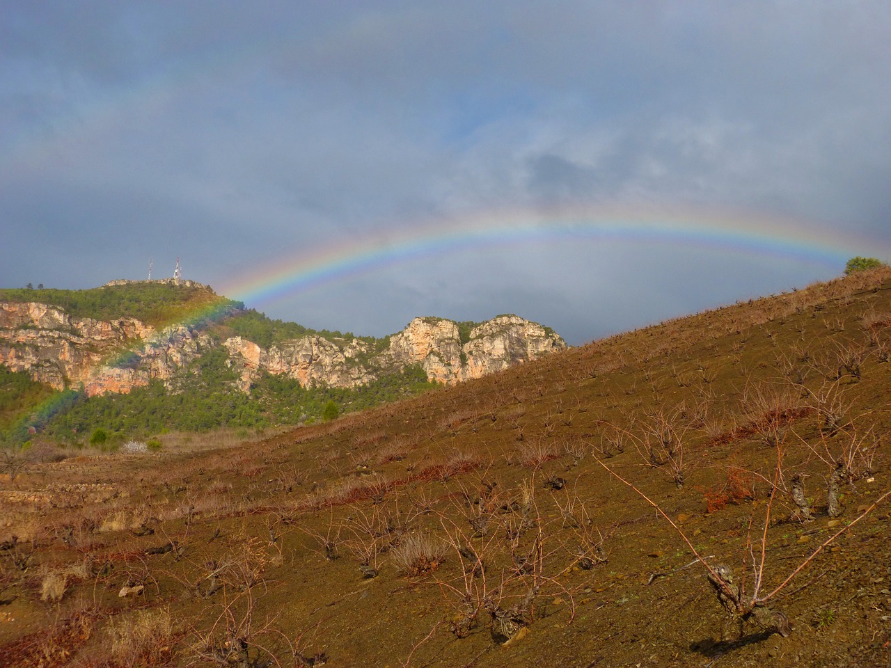 rainbow vineyard landscape free photo