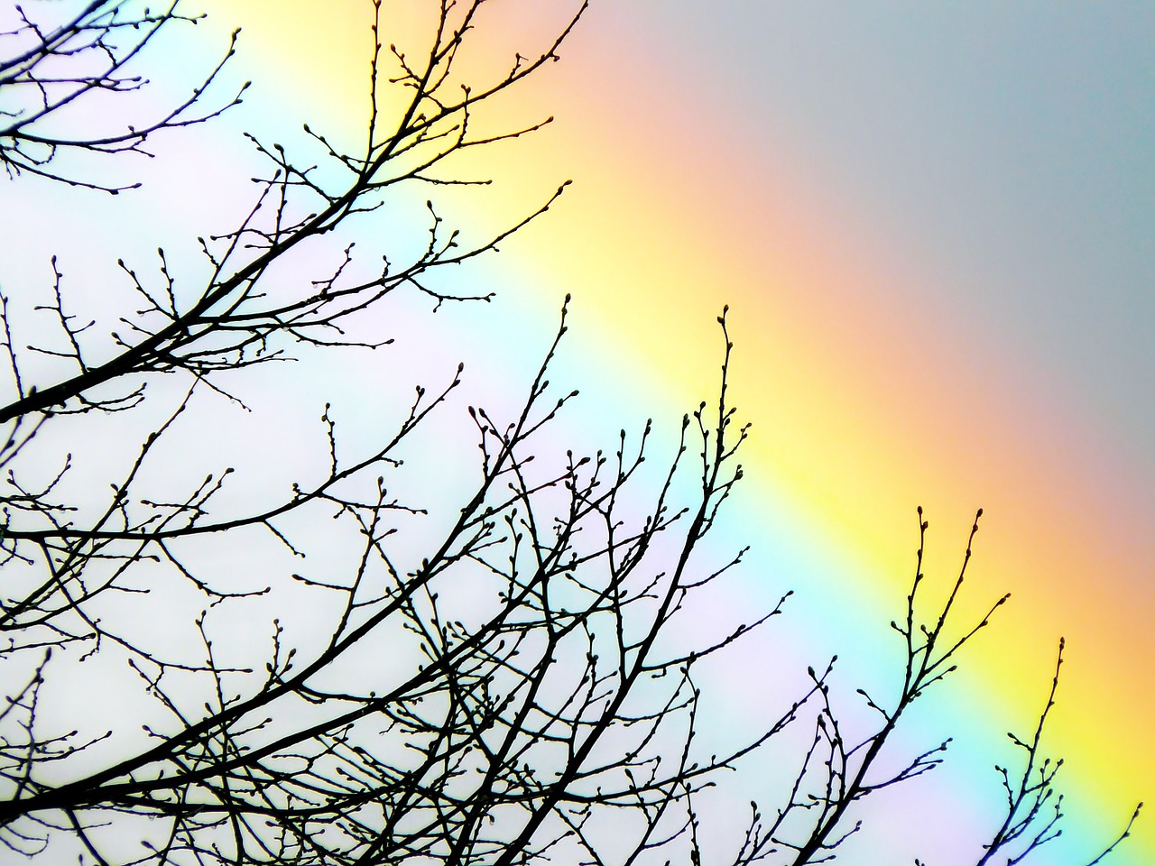 rainbow sky spectrum free photo